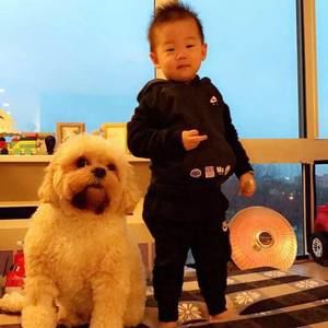 Meet your Posher, Stanley